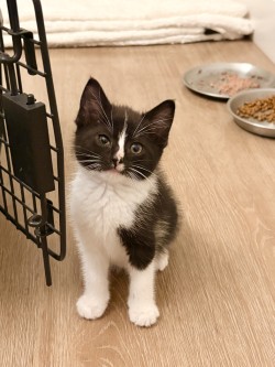 Photo of Priscilla