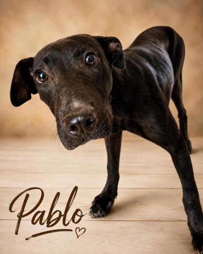 Photo of Pablo