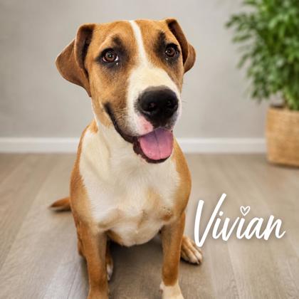 Photo of Vivian