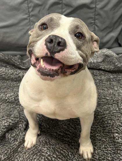 Photo of Peggy Sue