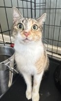 Photo of Liora