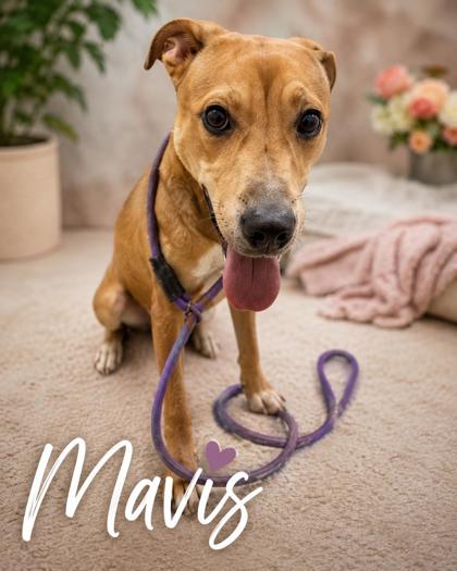Photo of Mavis