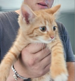 Photo of Tilly
