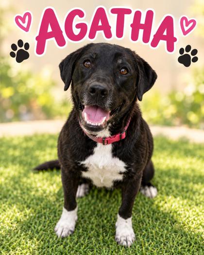 Photo of Agatha