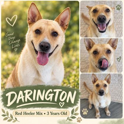 Photo of Darington