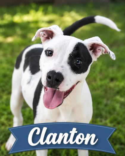 Photo of Clanton