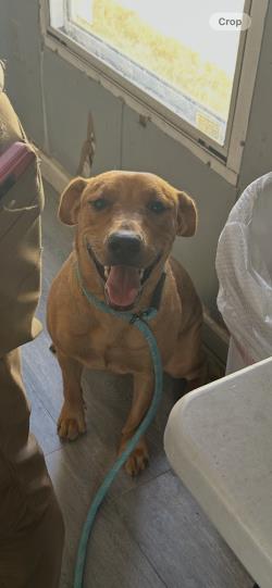 Photo of Ruby