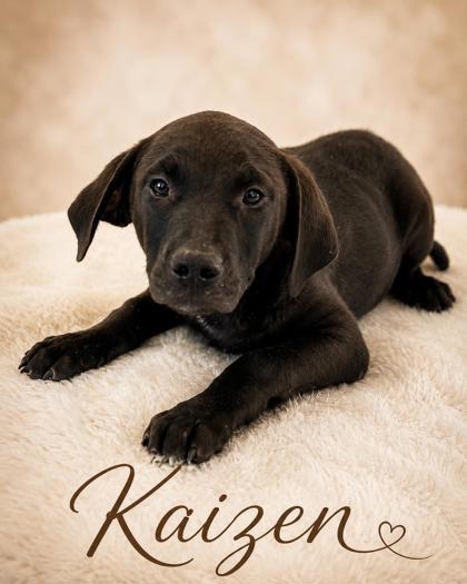 Photo of Kaizen