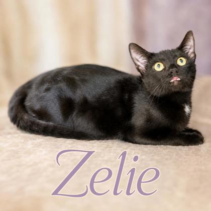 Photo of Zelie