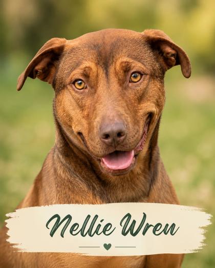 Photo of Nellie Wren