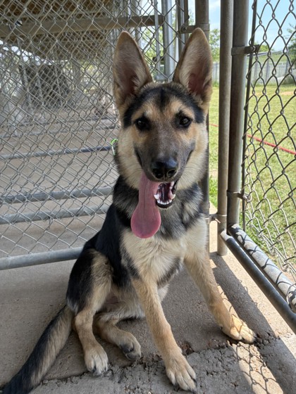 Photo of Nyla