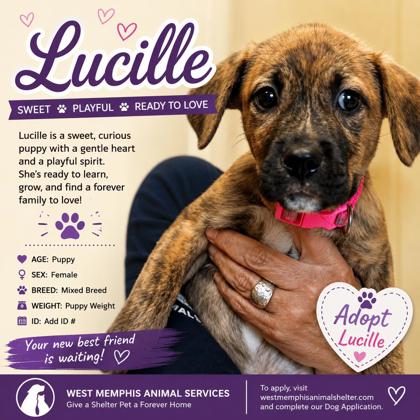 Photo of Lucille