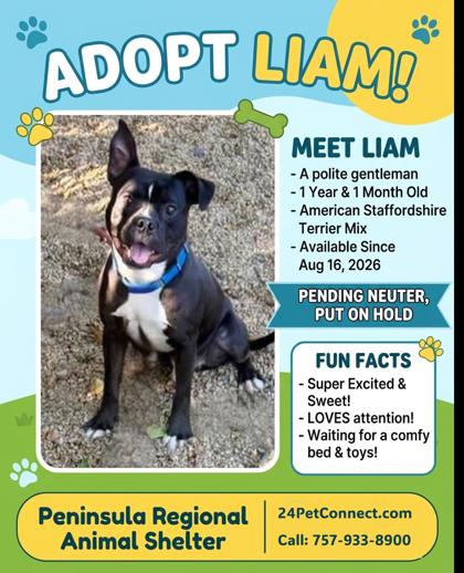 Liam Image