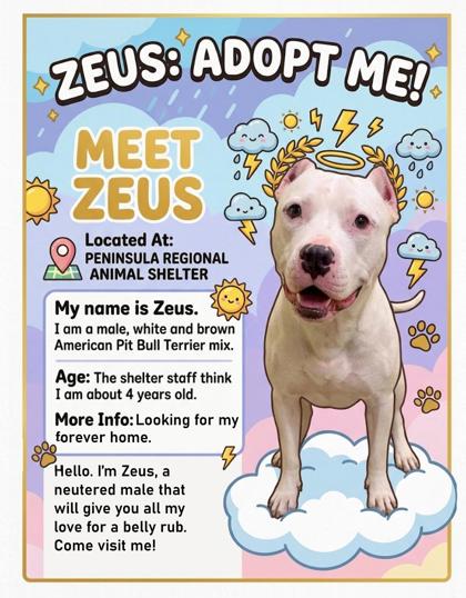 Zeus Image