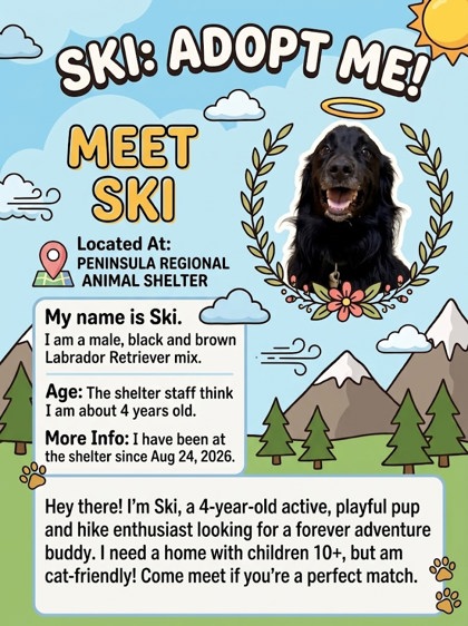 Ski Image