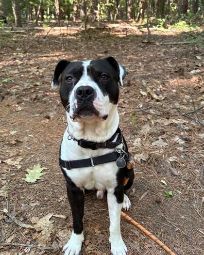 Rosco