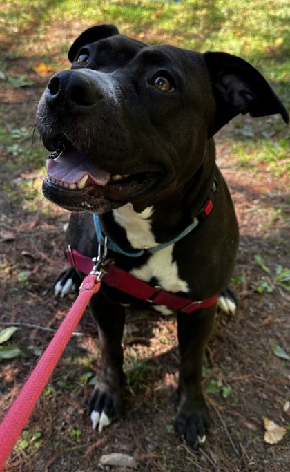 Ruby