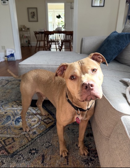 Milo