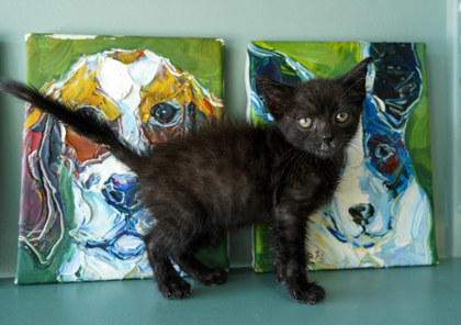 Smoke