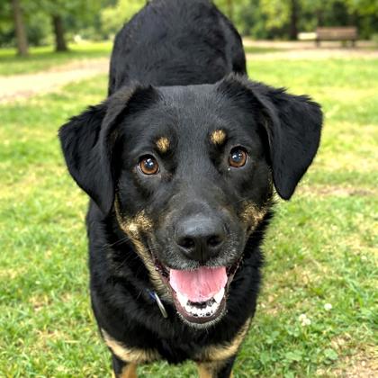 Sadie photo