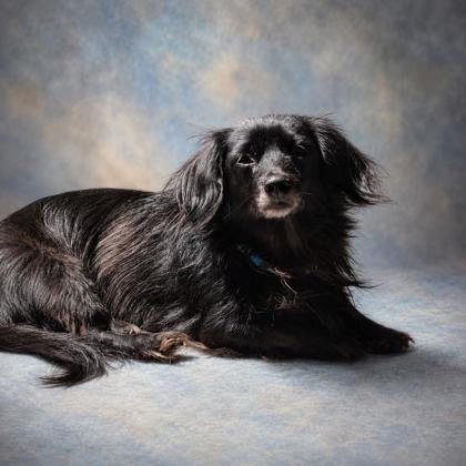 Roxy photo