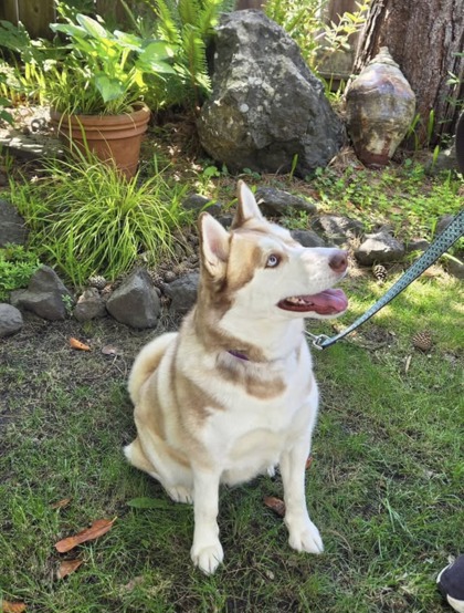 Ruby photo