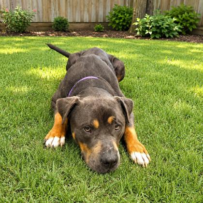 Walter photo
