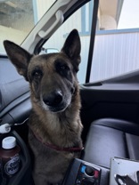 Loki