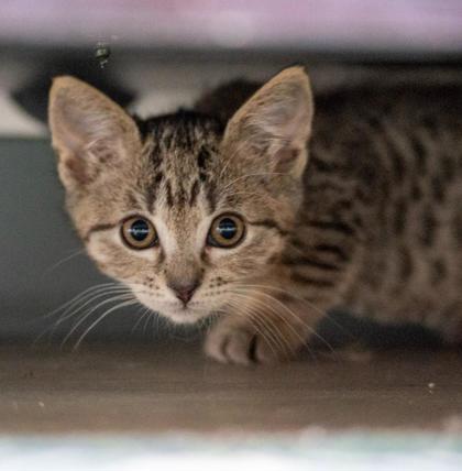Rainbow photo
