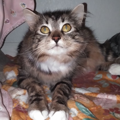 Alora photo