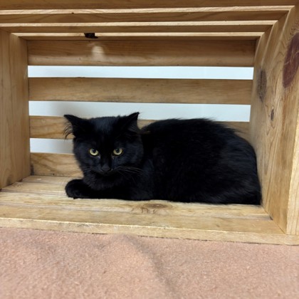 Wilma photo