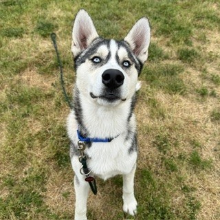 Trixster photo