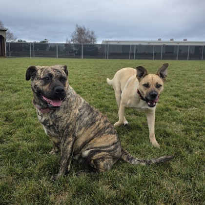 Ronda and Donna photo