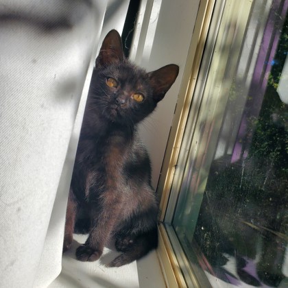 Sally photo