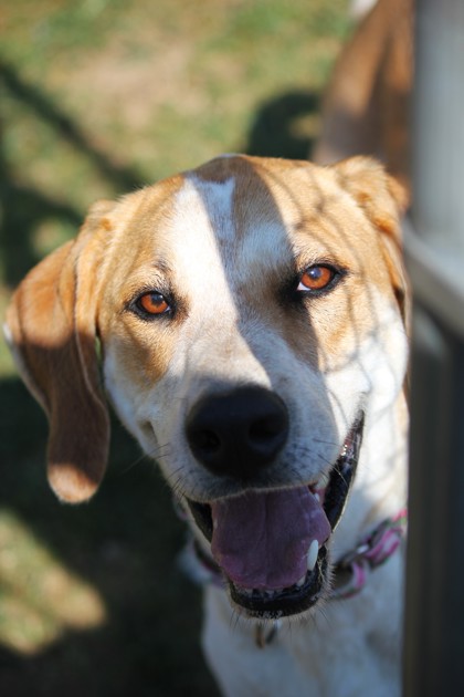 Image_55991300