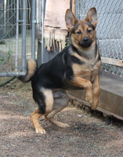 Wilbur photo