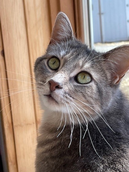 Bonnie photo
