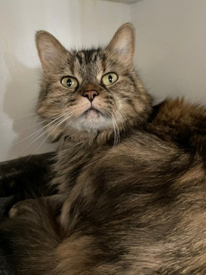 Marcy photo