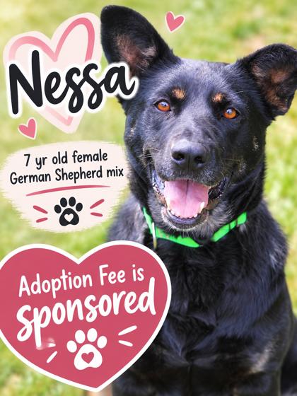 Nessa photo