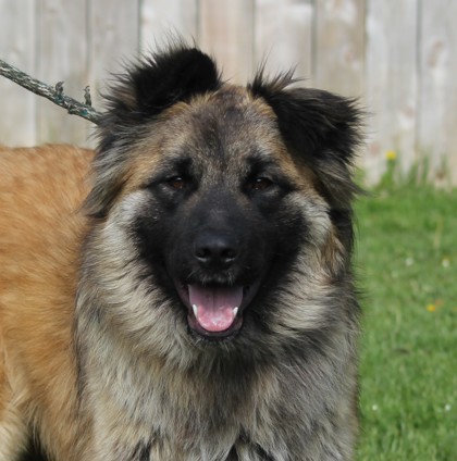 Cyrus photo