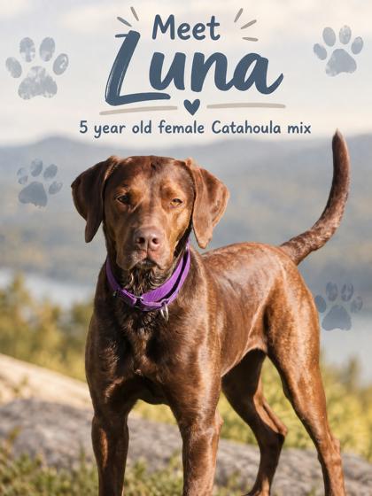 Luna photo