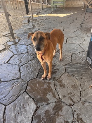 Asia
