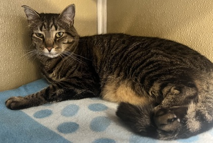 Maggie photo