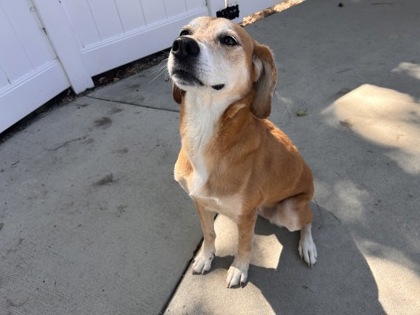 Riley photo