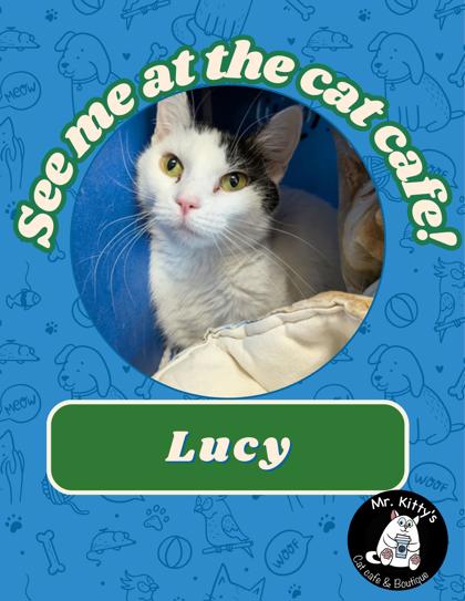 Lucy