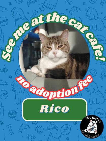 Rico