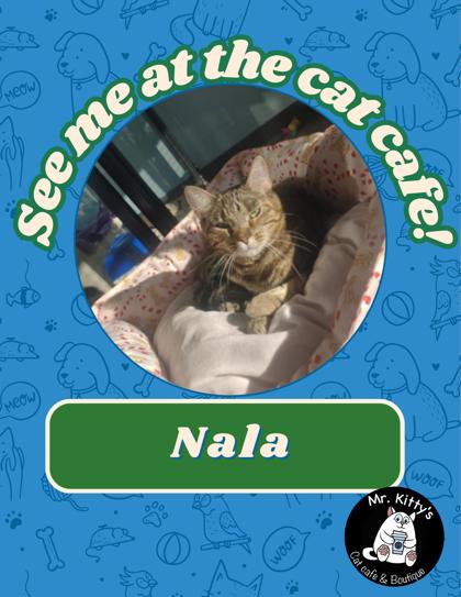 Nala