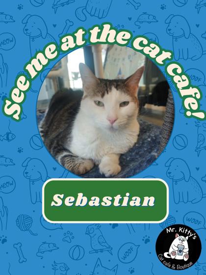 Sebastian