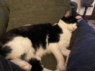 Chester