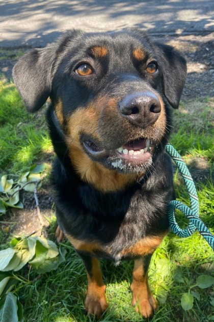 CHIQUITA photo